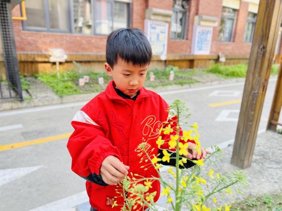 C:/Users/001/Desktop/升旗仪式简讯图片/IMG_6723.JPGIMG_6723